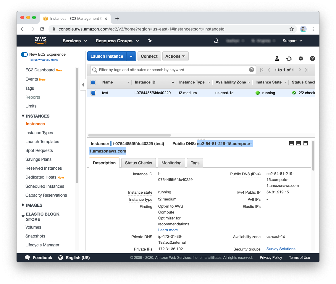 Public DNS EC2